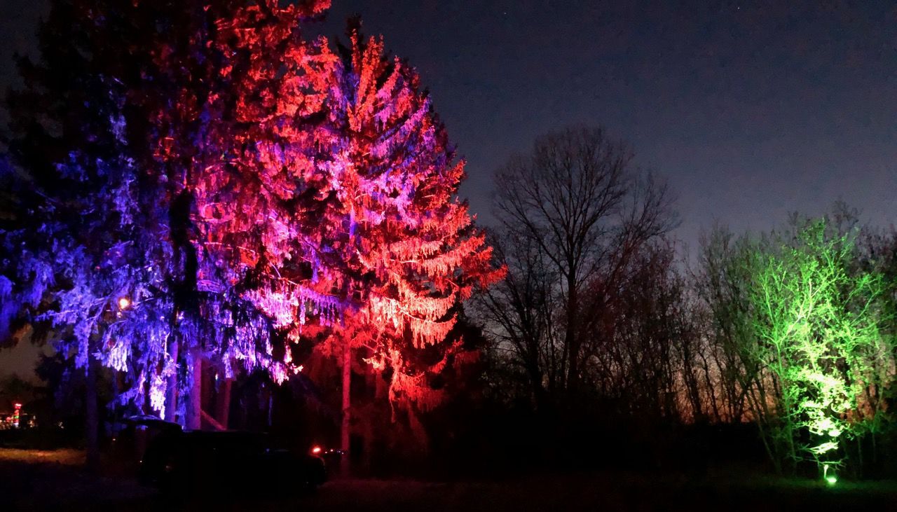 Lighted trees